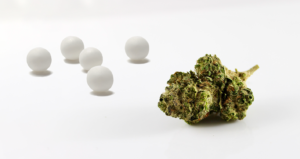 Read more about the article CBD pearls: They talk about us!